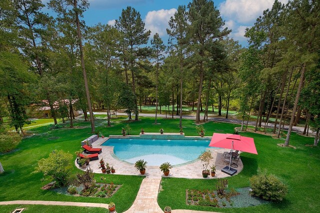 280 Sundog Rd, Huntsville, TX 77340 - view of pool featuring a lawn