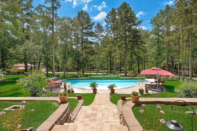 280 Sundog Rd, Huntsville, TX 77340 - outdoor pool featuring a lawn and a patio