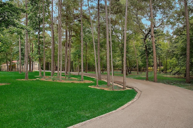 280 Sundog Rd, Huntsville, TX 77340 - view of community featuring a yard and driveway