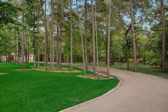 280 Sundog Rd, Huntsville, TX 77340 - view of community with a lawn and driveway