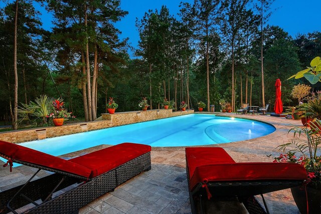 280 Sundog Rd, Huntsville, TX 77340 - outdoor pool with a patio area