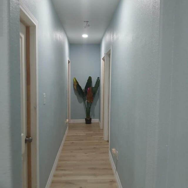16514 Green Manor Dr, Humble, TX 77396 - hallway featuring light wood-type flooring and baseboards