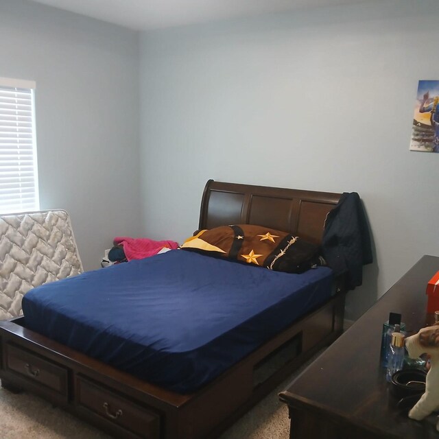 16514 Green Manor Dr, Humble, TX 77396 - view of carpeted bedroom