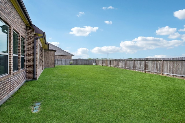 3115 Hillside Landing Trl, Katy, TX 77494 - view of yard