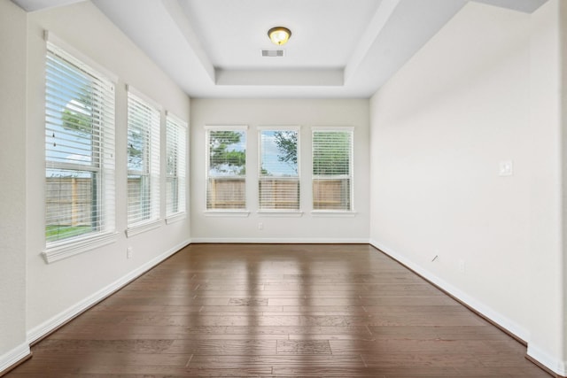 3115 Hillside Landing Trl, Katy, TX 77494 - spare room featuring healthy amount of natural light, dark wood finished floors, a tray ceiling, and baseboards