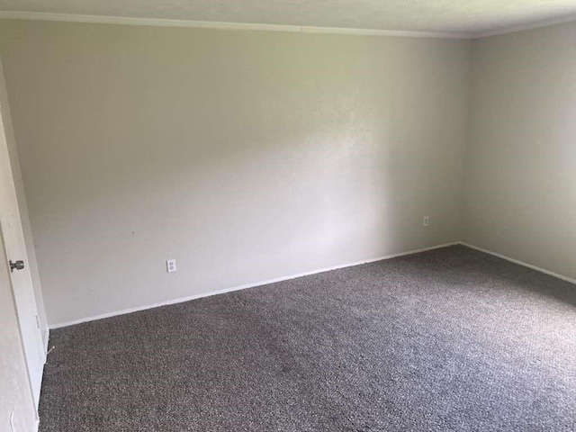 carpeted empty room with baseboards and crown molding