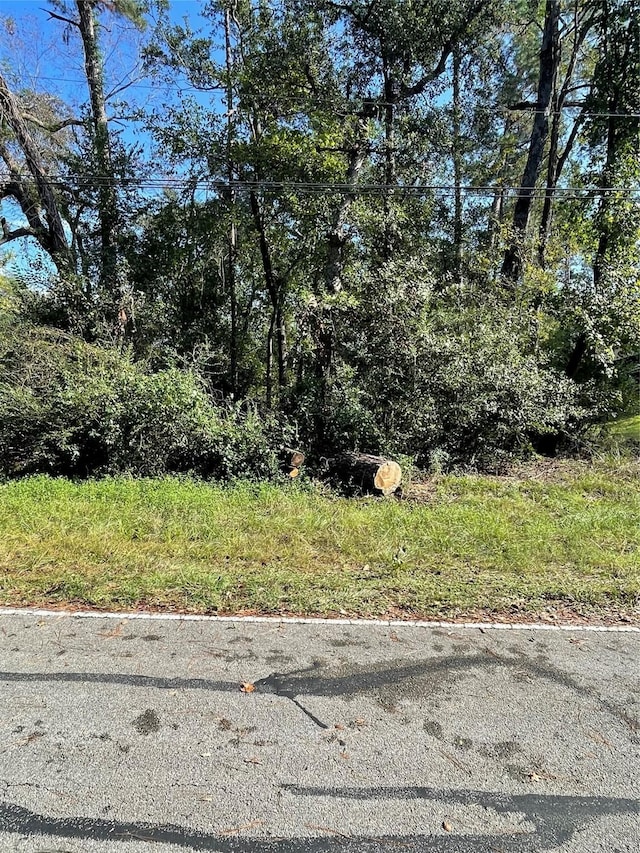 0 Overcup Dr, Spring, TX 77389 - photo 4