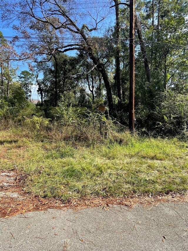 0 Overcup Dr, Spring, TX 77389 - photo 7