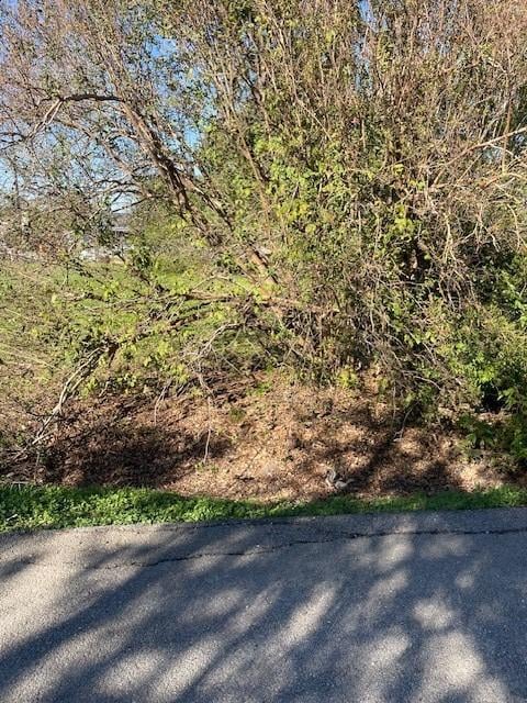 000 Cartersville St, Houston, TX 77029