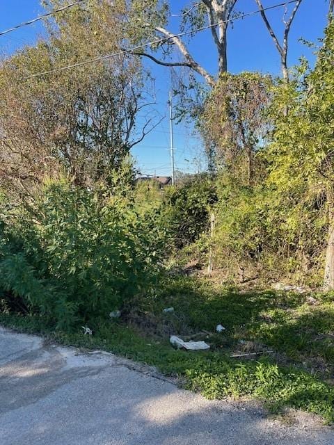 000 Cartersville St, Houston, TX 77029