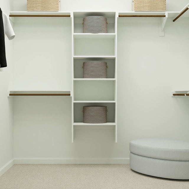 spacious closet with carpet
