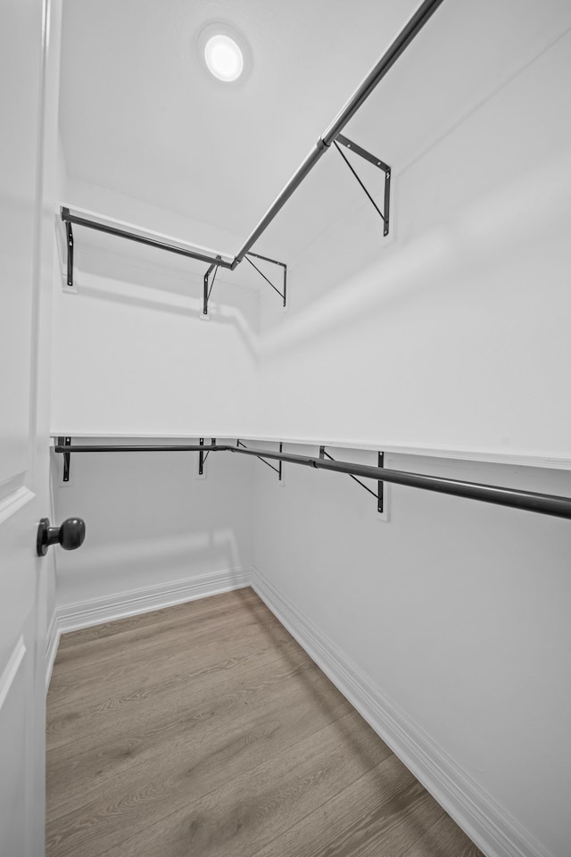 walk in closet featuring wood finished floors