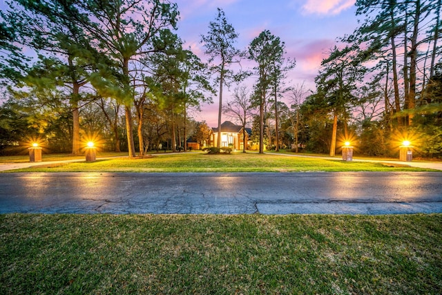 17511 Hawkin Ln, Tomball, TX 77377 - water view