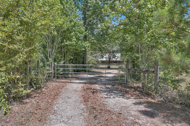 10173 Crockett Martin Rd, Conroe, TX 77306