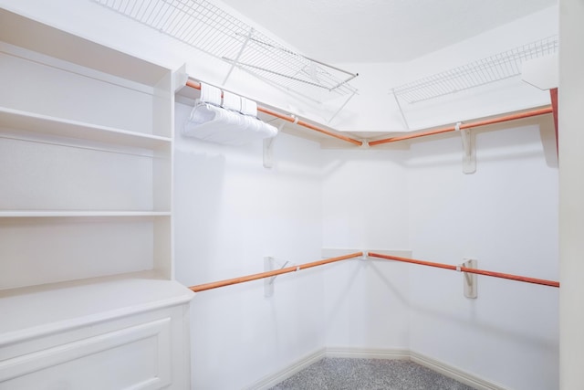 3907 Movado Ct, Spring, TX 77386 - spacious closet with carpet flooring