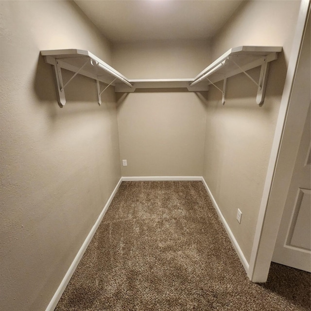 3625 Whatley Dr, Deer Park, TX 77536 - walk in closet with carpet flooring