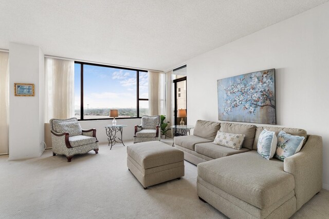 14 Greenway Plz Unit 14O, Houston, TX 77046 - photo 5