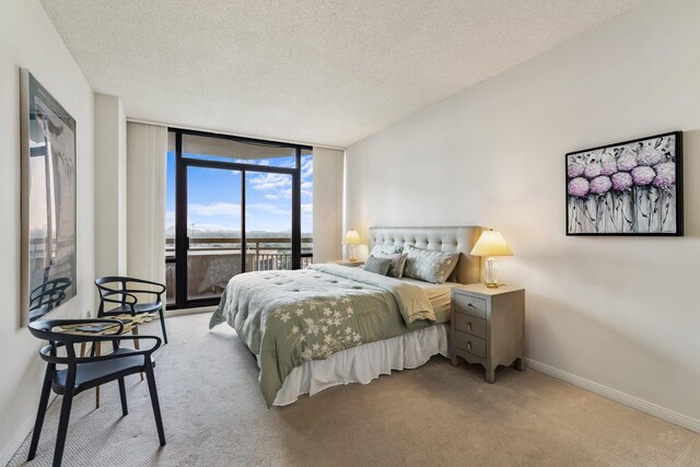 14 Greenway Plz Unit 14O, Houston, TX 77046 - photo 10