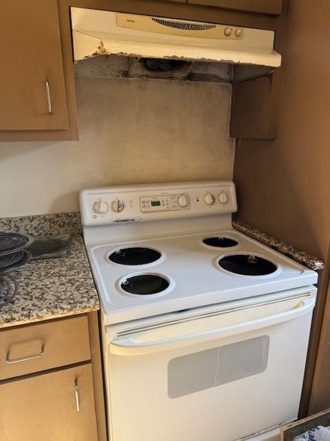 7358 Crownwest St Unit 7358, Houston, TX 77072 - kitchen with electric stove and under cabinet range hood