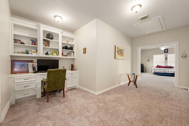 19509 Desna Dr, Porter, TX 77365 - office space with attic access, light carpet, and baseboards