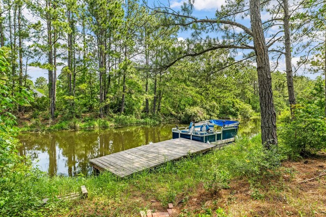 19509 Desna Dr, Porter, TX 77365 - dock with a water view and a forest view