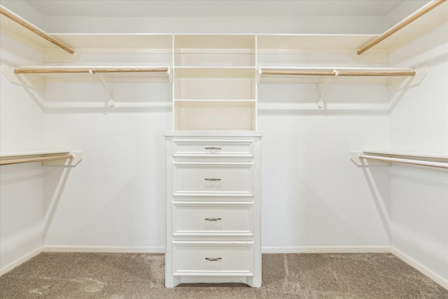 10906 Harvest Sun Dr, Houston, TX 77064 - walk in closet with carpet