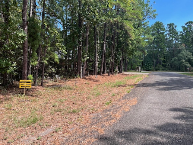 0 Pine Vly, Huntsville, TX 77320 - photo 1