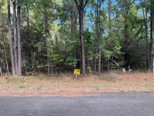 0 Pine Vly, Huntsville, TX 77320 - photo 2