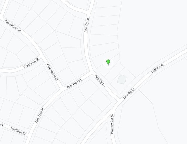 0 Pine Vly, Huntsville, TX 77320 - photo 4
