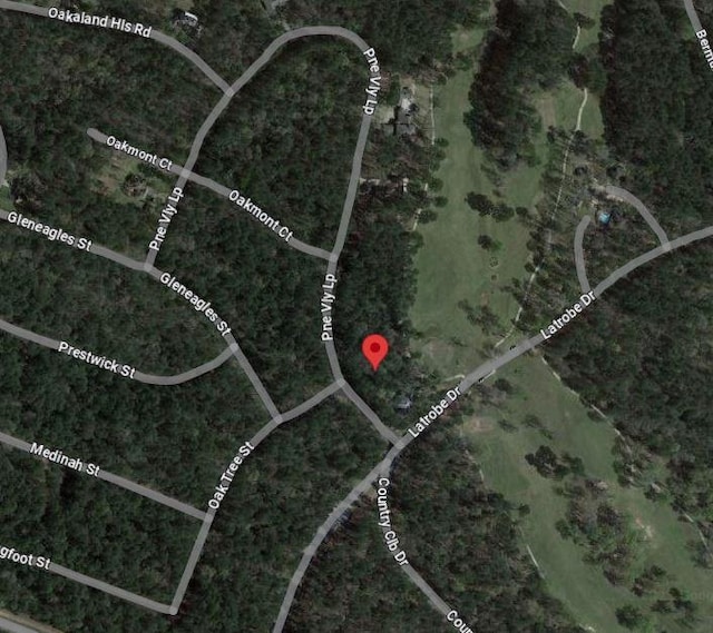 0 Pine Vly, Huntsville, TX 77320 - photo 5