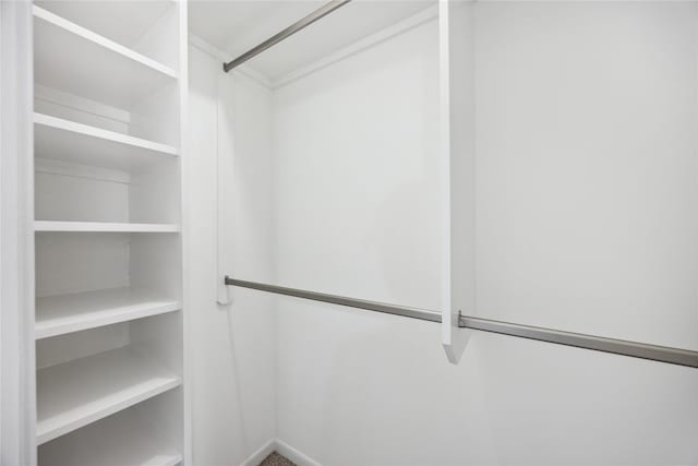 view of walk in closet