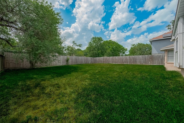 22010 Rivermead Dr, Katy, TX 77449 - view of yard