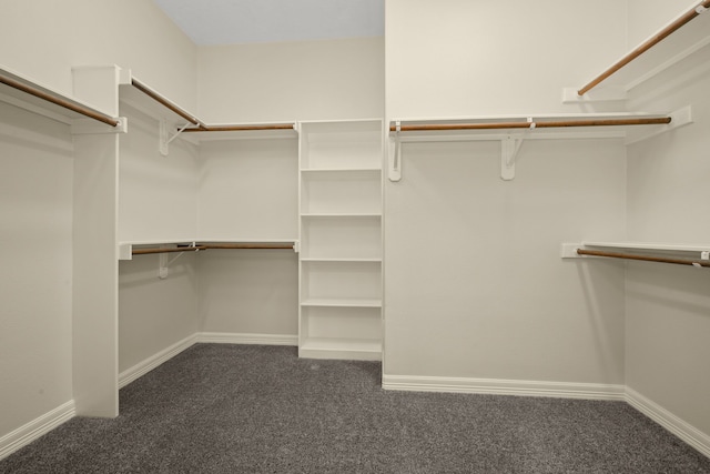 226 Beasley Reef Dr, Beach City, TX 77523 - spacious closet featuring carpet floors