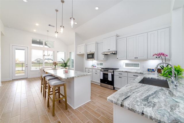 4603 Vaughan Way, Iowa Colony, TX 77583 - kitchen featuring stainless steel appliances, a sink, under cabinet range hood, vaulted ceiling, and backsplash
