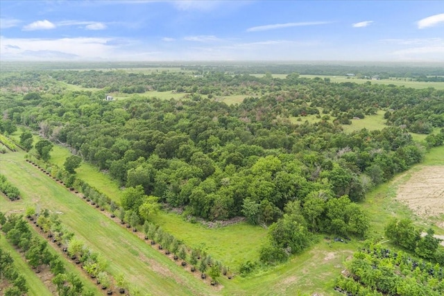1300 Fm 3119, Mexia, TX 76667
