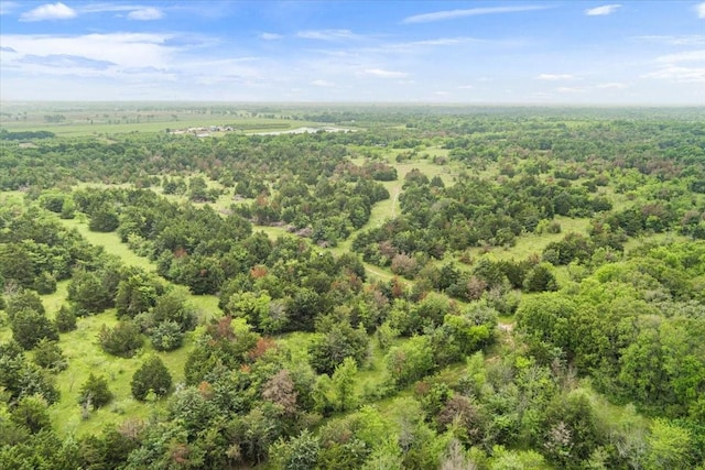 1300 Fm 3119, Mexia, TX 76667