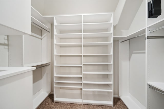 20511 Kendall Cliff Ct, Katy, TX 77449 - walk in closet with carpet floors