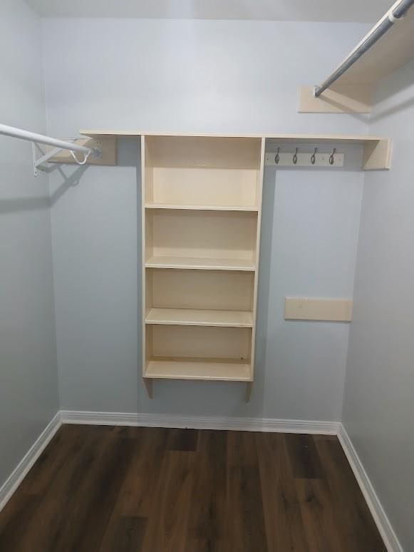 13523 La Concha Ln, Houston, TX 77083 - walk in closet featuring dark wood-type flooring