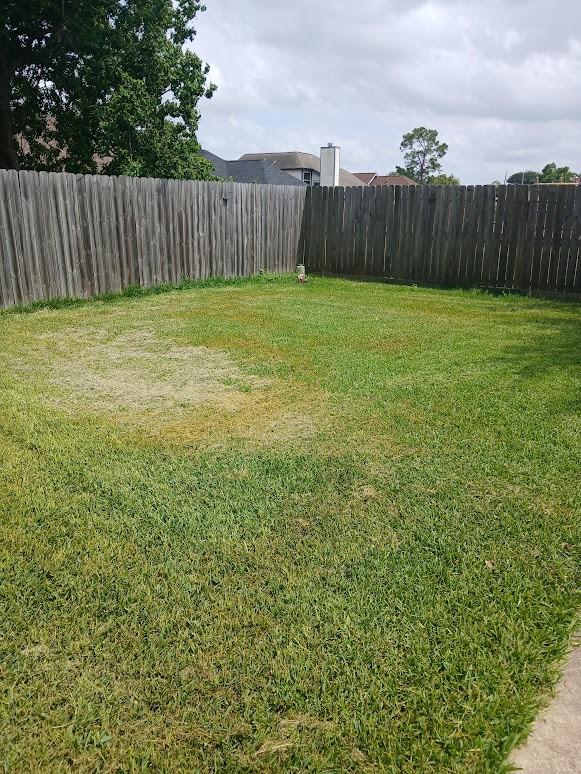 13523 La Concha Ln, Houston, TX 77083 - view of yard