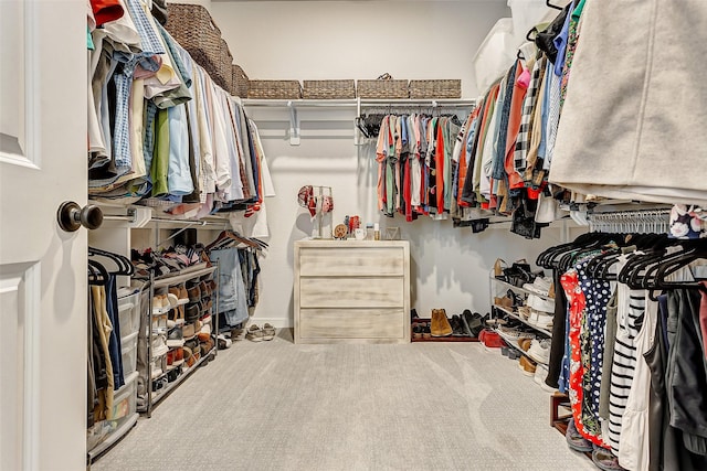 24910 Hibiscus Garden Way, Katy, TX 77493 - walk in closet featuring carpet