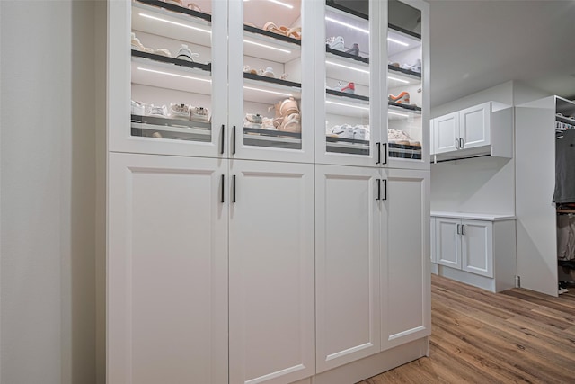 8113 Tranquil Lake Way, Conroe, TX 77385 - spacious closet with light wood-style floors