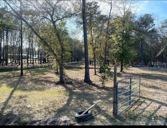 23859 Mydas Fly Ln, New Caney, TX 77357