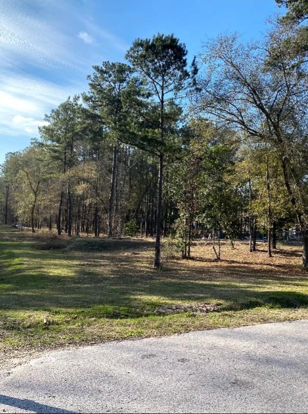 23859 Mydas Fly Ln, New Caney, TX 77357
