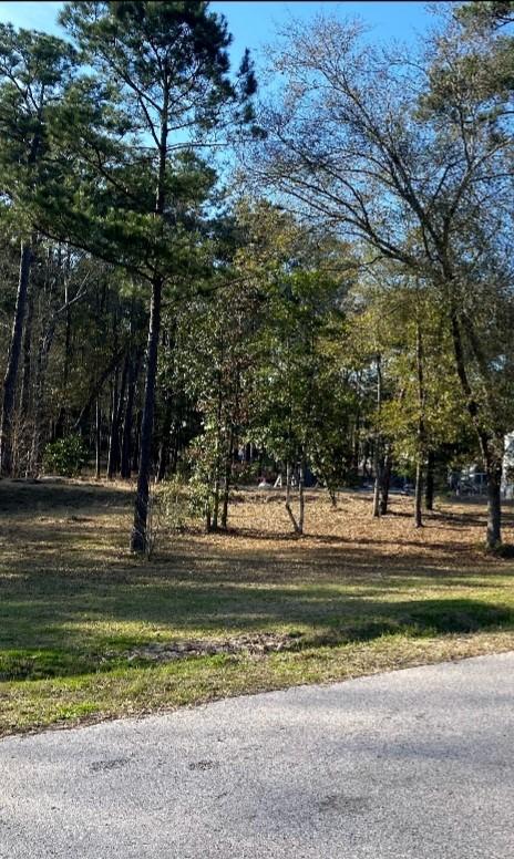 23859 Mydas Fly Ln, New Caney, TX 77357