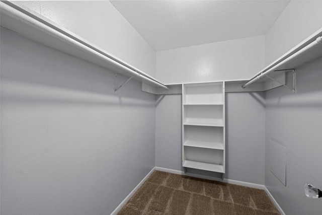 7611 Creekfield Dr, Spring, TX 77379 - spacious closet featuring carpet floors
