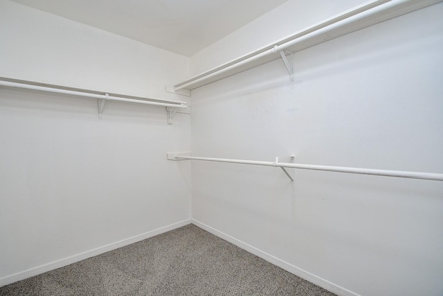 10378 Briar Forest Dr Unit 32/5, Houston, TX 77042 - spacious closet with carpet flooring