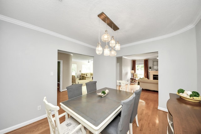 1140 Bartlett Rd, Katy, TX 77493 - dining area featuring crown molding, light wood-style flooring, a chandelier, baseboards, and a fireplace
