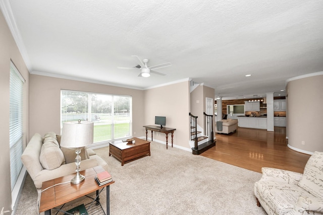 1140 Bartlett Rd, Katy, TX 77493 - living room with crown molding, ceiling fan, baseboards, carpet, and wood finished floors