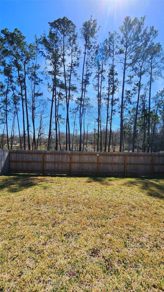 20822 Masella Ridge Dr, New Caney, TX 77357 - view of yard