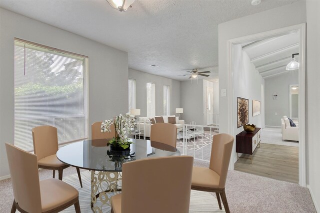 206 Verna St, Jasper, TX 75951 - carpeted dining space featuring ceiling fan and a textured ceiling
